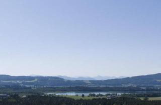 Lager kaufen in 5165 Berndorf bei Salzburg, Vielseitige Gewerbeimmobilie: Büro-, Werkstätten-, Lager- & Ausstellungshalle in Oö