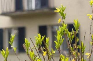 Haus kaufen in Laverangasse, 1130 Wien, Liegenschaft mit Altbestand und wunderschönen Fernblick in 1130 Wien-Hietzing