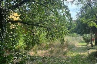 Grundstück zu kaufen in Friedhofgasse 18, 7100 Neusiedl am See, PROVISIONSFREI! Baugrundstück im Herzen von Neusiedl am See