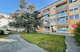 Wohnung kaufen in 2100 Korneuburg, NEUER PREIS 67,5m² Eigentumswohnung mit Loggia, Klimaanlage, Autoabstellplatz & PV-Balkonkraftwerk.