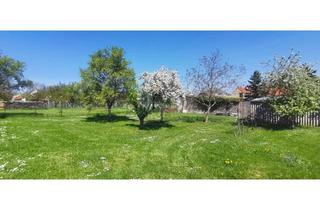 Grundstück zu kaufen in 7091 Breitenbrunn am Neusiedler See, PERFEKT GESCHNITTEN - SÜDOST-AUSRICHTUNG - AUFSCHLIESSUNGSKOSTEN BEZAHLT