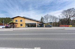 Geschäftslokal mieten in 4817 Sankt Konrad, Viel Platz für Ihr Gewerbe - hervorragende Infrastruktur