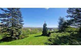 Grundstück zu kaufen in Kriegsherrgasse 22, 2380 Perchtoldsdorf, Seltene Gelegenheit: Winzerhaus auf uneinsehbarem Grundstück | ZELLMANN IMMOBILIEN