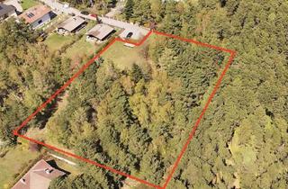 Grundstück zu kaufen in 2812 Hollenthon, Bauland direkt am Wald, wenn man Ruhe und gute Luft mag (kein Bauzwang, aufgeschlossen, privat)