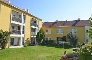 Wohnung mieten in Berggasse 4/6, 2070 Retz, Wohnung in Retz