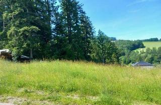  in 2572 Kaumberg, traumhaftes Grundstück als Baurecht