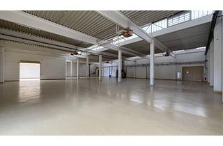 Gewerbeimmobilie kaufen in 3105 Unterradlberg, Produktions- & Lagerhalle | 3.057 m² | PV-Anlage 43 kWp | 6,35 m Hallenhöhe | S33-Anbindung — St. Pölten