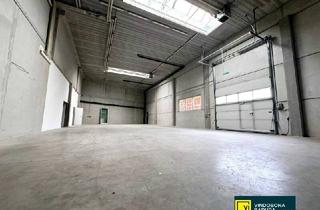 Geschäftslokal mieten in Perfektastraße, 1230 Wien, Gewerbe-Hotspot Perfektastraße: 667 m² Fläche in prominenter Lage