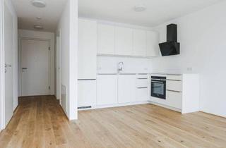 Penthouse mieten in 6971 Hard, 3-Zimmer-Wohnung mit riesiger Dachterrasse im Zentrum von Hard - Erstbezug!