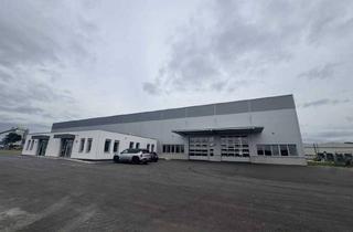 Büro zu mieten in 2104 Spillern, Top Logistikhalle in Spillern zu mieten