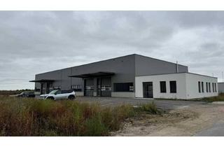 Büro zu mieten in 2482 Münchendorf, Top Gewerbe- / Produktionshalle zu mieten!