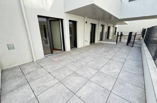 Wohnung mieten in Basler Gasse, 1230 Wien, Basler Gasse - Neubau Zweitbezug | Optional Tiefgaragenstellplatz