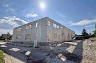 Lager mieten in 4840 Vöcklabruck, Kauf / Miete: Betriebs-/Produktions- oder Lagerhallen mit Flächen von 63 - 120 m² zu Verkaufen / Vermieten in Vöcklabruck / Nähe Varena (Top 5)