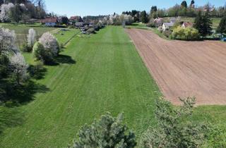 Grundstück zu kaufen in Kaiserbergstraße 28, 8502 Lannach, Sonniges Premium-Grundstück in Best Lage von Lannach - Seltene Investmentchance mit Hervorragendem Preis-Leistungs-Verhältnis