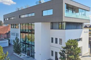 Büro zu mieten in 4690 Schwanenstadt, Dein Zuhause Präsentiert: Modernes Büro ~54M² in Zentrum von Schwanenstadt