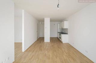 Wohnung mieten in 2000 Stockerau, Ab Mai, Super Singlewohnung zum Verlieben