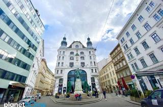 Loft mieten in 1010 Wien, Open Space Wohnen und Arbeiten im Herzen der Wiener Innenstadt zur Miete
