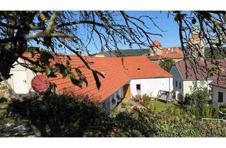 Einfamilienhaus kaufen in 7461 Stadtschlaining, *Perfektes Investment* in Stadtschlaining saniertes Altbau-Juwel mit Burgblick