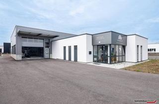 Büro zu mieten in Schusterstraße 16, 2482 Münchendorf, Büro/Lagerfläche zum teilen