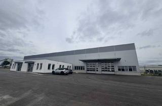 Immobilie mieten in 2104 Spillern, Top Logistikhalle in Spillern zu mieten