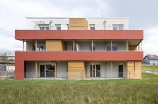 Wohnung mieten in Zellerndorf, 2051 Zellerndorf, Zellerndorf (Hollabrunn) - schöne 2 Zimmerwohnung mit XL Balkon