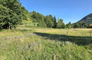 Grundstück zu kaufen in 8121 Deutschfeistritz, Ländliches Wohnerlebnis mit viel Sonne!