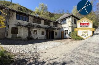 Immobilie kaufen in 3495 Rohrendorf bei Krems, Heurigenlokal in Rohrendorfer Kellergasse