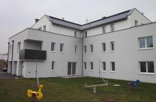 Wohnung mieten in Sportplatzgasse 13, 3382 Loosdorf, Loosdorf, 2 Zimmer, 61 m² / 00922 00101