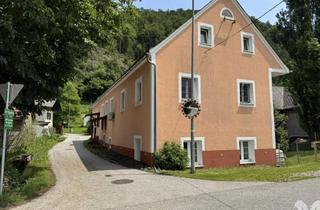 Anlageobjekt in 8101 Sankt Veit, Kompaktes Zinshaus Nördlich von Graz