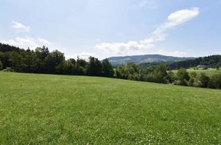Grundstück zu kaufen in Blindhof 43, 4441 Wanzenöd, Sonniger 1.074 m² Baugrund mit Traumhaftem Ausblick in Ruhiger & Grüner Lage!