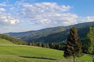 Grundstück zu kaufen in St. Wolfgang, 8742 Obdach, Alpenrefugium auf 1.200 M Seehöhe - ein Ort, wo die Zeit Stehen Bleibt und der Blick in die Berge Verzaubert.