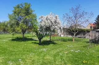 Grundstück zu kaufen in 7091 Breitenbrunn am Neusiedler See, Perfekt Geschnitten - Südost-Ausrichtung - Aufschliessungskosten Bezahlt