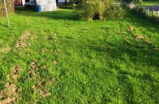 Grundstück zu kaufen in 6974 Gaißau, Gaissau - sympathisches Grundstück am Ende einer Sackgasse mit guten Entwicklungspotential