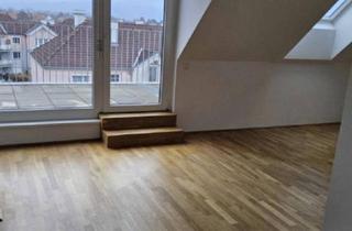 Loft mieten in 2700 Wiener Neustadt, Loftartige DG-TERRASSENWOHNUNG mit 30,71m² Terrasse nahe Akademiepark