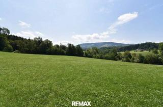 Grundstück zu kaufen in 4441 Badhof, Sonniger 1.074 m² Baugrund mit traumhaftem Ausblick in ruhiger & grüner Lage!