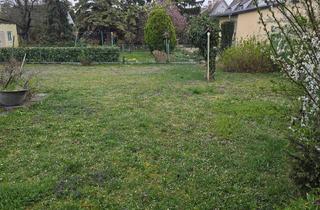 Grundstück zu kaufen in 2320 Schwechat, Baugrund in Bestlage