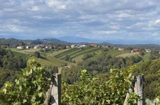 Einfamilienhaus kaufen in 8354 Aigen, Traumhafter Ausblick in St.Anna am Aigen