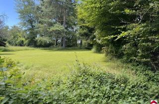 Grundstück zu kaufen in 3413 Kirchbach, Großzügiges Baugrundstück 1527m² in 3413 Kirchbach – Ihr Traum vom Eigenheim!