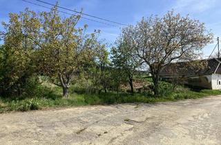 Grundstück zu kaufen in Kellergasse, 2034 Diepolz, Grundstück in ruhiger Kellergasse