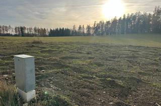  in Kollmitzdörfl 42, 3820 Raabs an der Thaya, EINZIGARTIGE GELEGENHEIT FÜR TINY HOUSE BESITZER