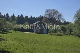 Haus kaufen in Egg 23, 8410 Wildon, Charmantes Holzblockhaus auf großzügigem Grundstück in absoluter Ruhelage