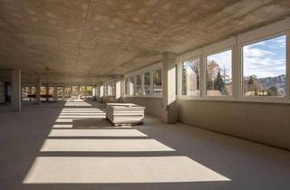 Büro zu mieten in Teslastraße, 8074 Raaba, 220 m² Neubauflächen nach Ihren Wünschen