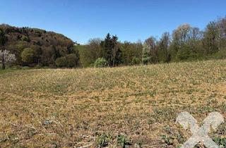 Gewerbeimmobilie kaufen in 8342 Gnas, Ackergrundstücke Nähe Gnas