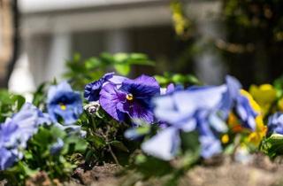 Einfamilienhaus kaufen in 6071 Aldrans, Licht, Raum & Ruhe – hier wohnt das gute Gefühl