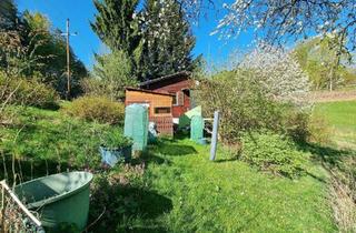 Grundstück zu kaufen in 4211 Alberndorf in der Riedmark, Für Naturliebhaber: Großes Grundstück mit vielseitigen Möglichkeiten