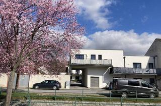 Wohnung kaufen in 2170 Poysdorf, Neubau in Poysdorf: 4 Zimmer, Deckenkühlung Terrasse – Direkt vom Eigentümer (0% Provision)