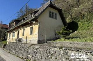 Haus kaufen in 4460 Losenstein, Liegenschaft mit Abrissobjekt - immo-live digitale Angebotslegung