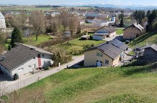 Grundstück zu kaufen in Am Schlossberg, 4531 Kematen an der Krems, Großzügiges Baugrundstück in Ruhiger Wohnlage | Kein Bauzwang & Teilbar