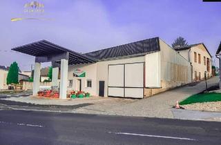 Gewerbeimmobilie kaufen in 7542 Gerersdorf bei Güssing, Große Gewerbe Objekt in Gerersdorf - mit 1199m² Grundstück!