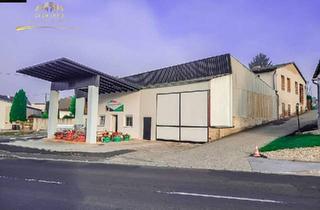 Gewerbeimmobilie kaufen in 7542 Gerersdorf bei Güssing, Große Gewerbe Objekt in Gerersdorf - mit 1199m² Grundstück!
